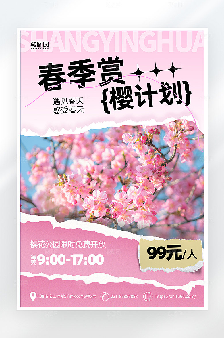粉色简约樱花旅游海报
