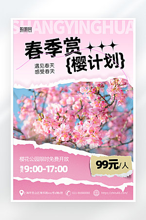 粉色简约樱花旅游海报