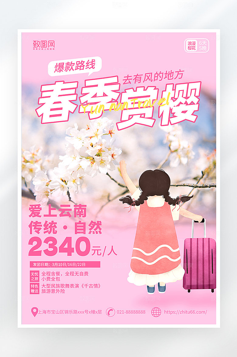 粉色简约大气春季赏樱旅游海报