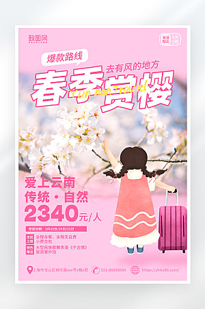 粉色简约大气春季赏樱旅游海报