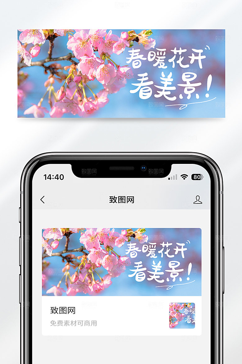 旅行出行樱花简约公众号封面