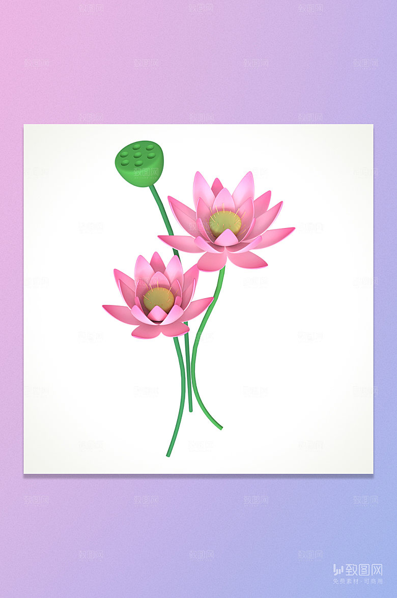 C4D粉色夏日荷花