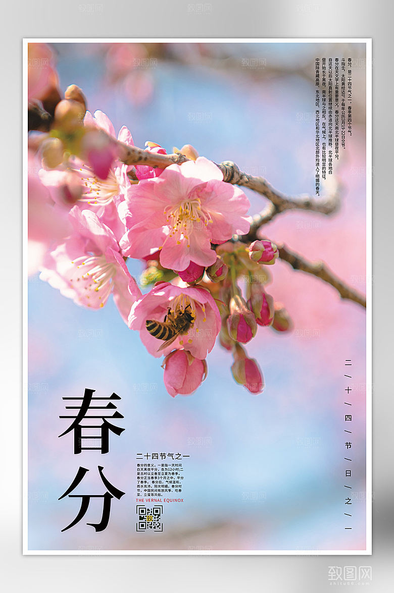 二十四节气之一春分节日海报