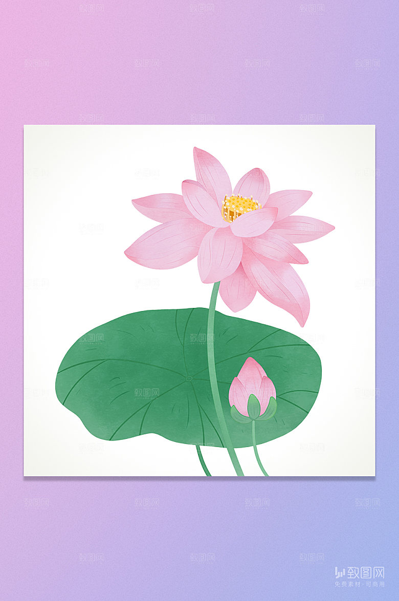 荷花夏季插画元素