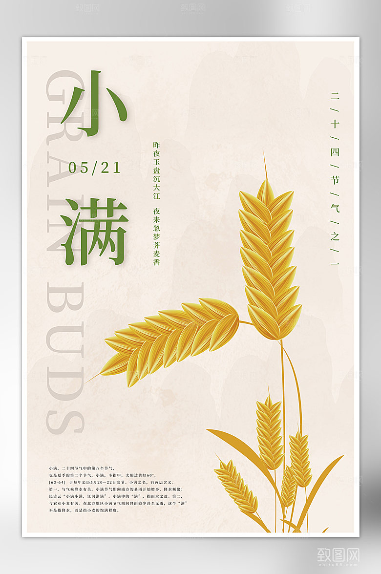 简约二十四节气小满宣传海报