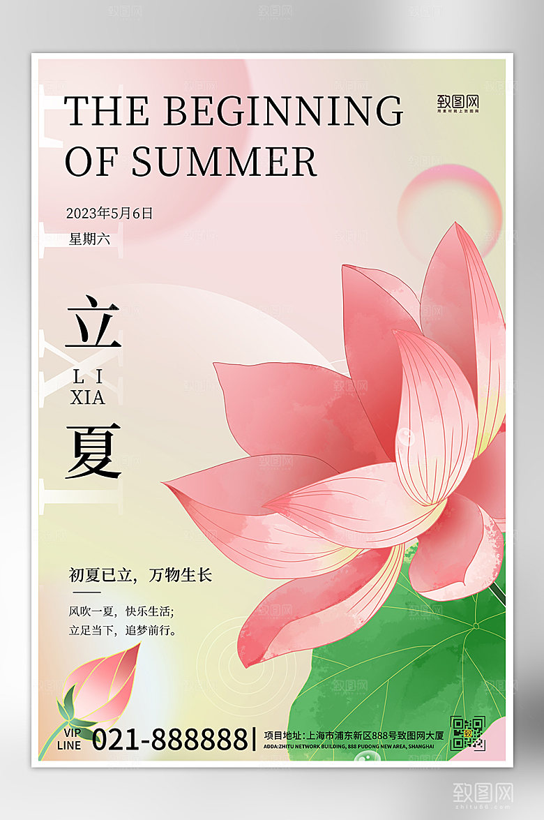 传统节气立夏粉色荷花海报