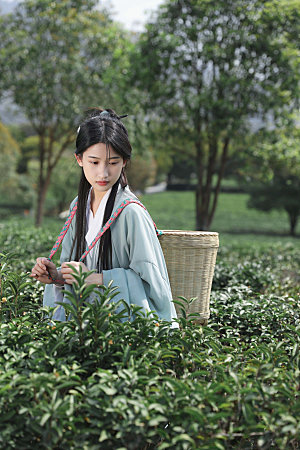 清明汉服采茶少女摄影图
