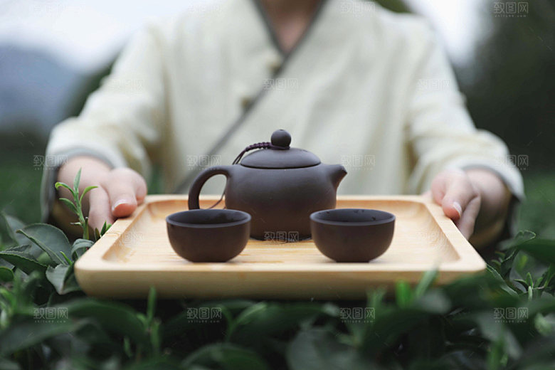 茶园端茶泡茶摄影图