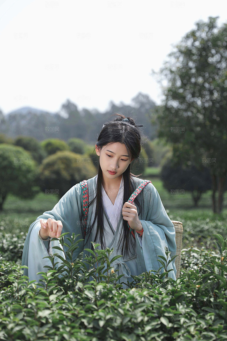 清明汉服少女采茶摄影图