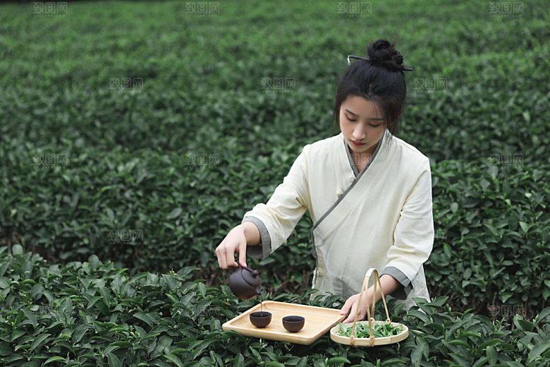 茶园女孩泡茶摄影图