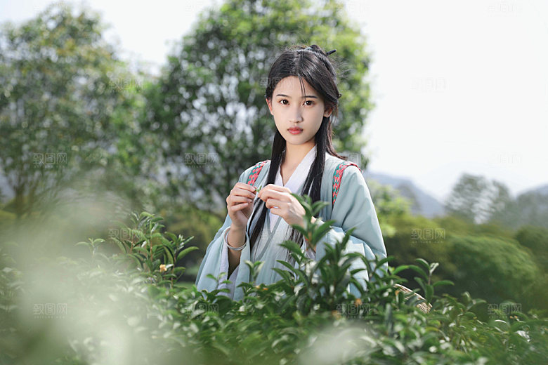 清明汉服茶园少女摄影图