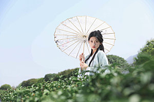 清明汉服少女打伞采茶摄影图
