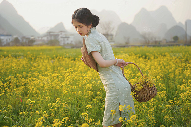 油菜花旗袍少女赏花摄影图