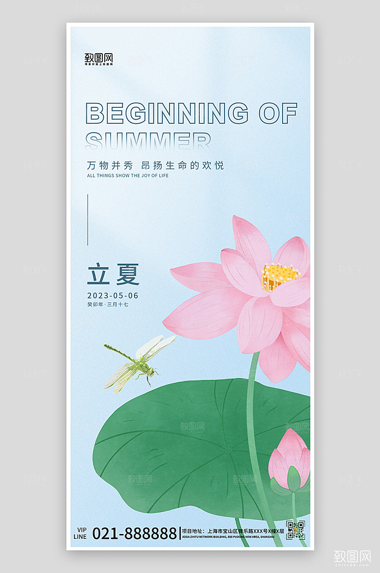 立夏节气荷花传统节气手机海报