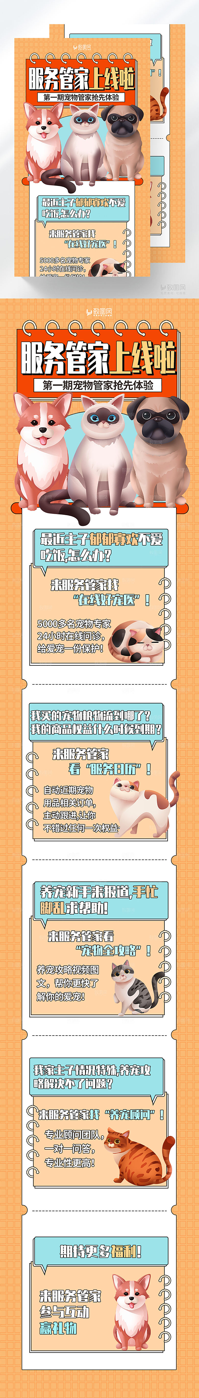 宠物管家上线H5长图