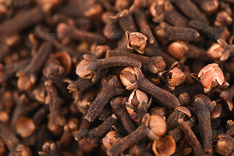 苦丁茶静物特写摄影图