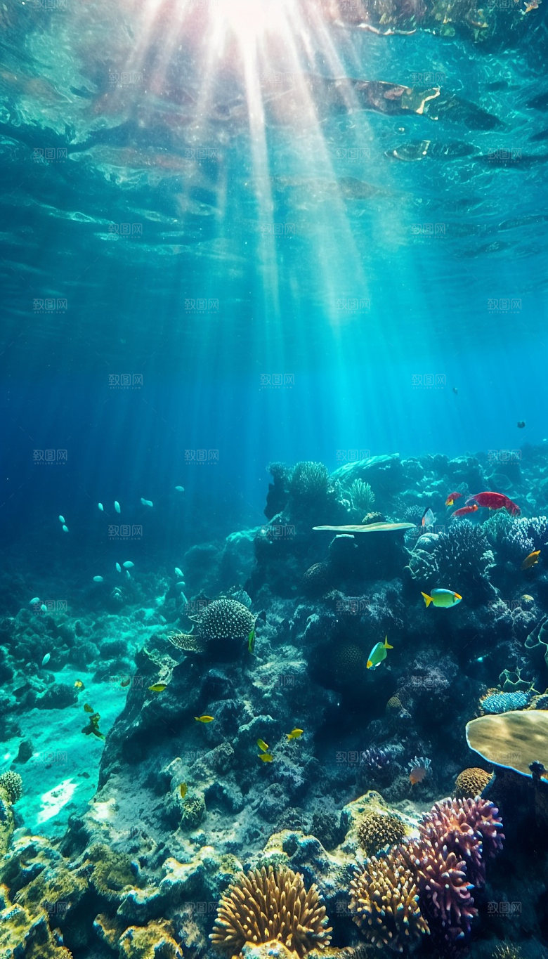 海底景色潜水风光摄影图