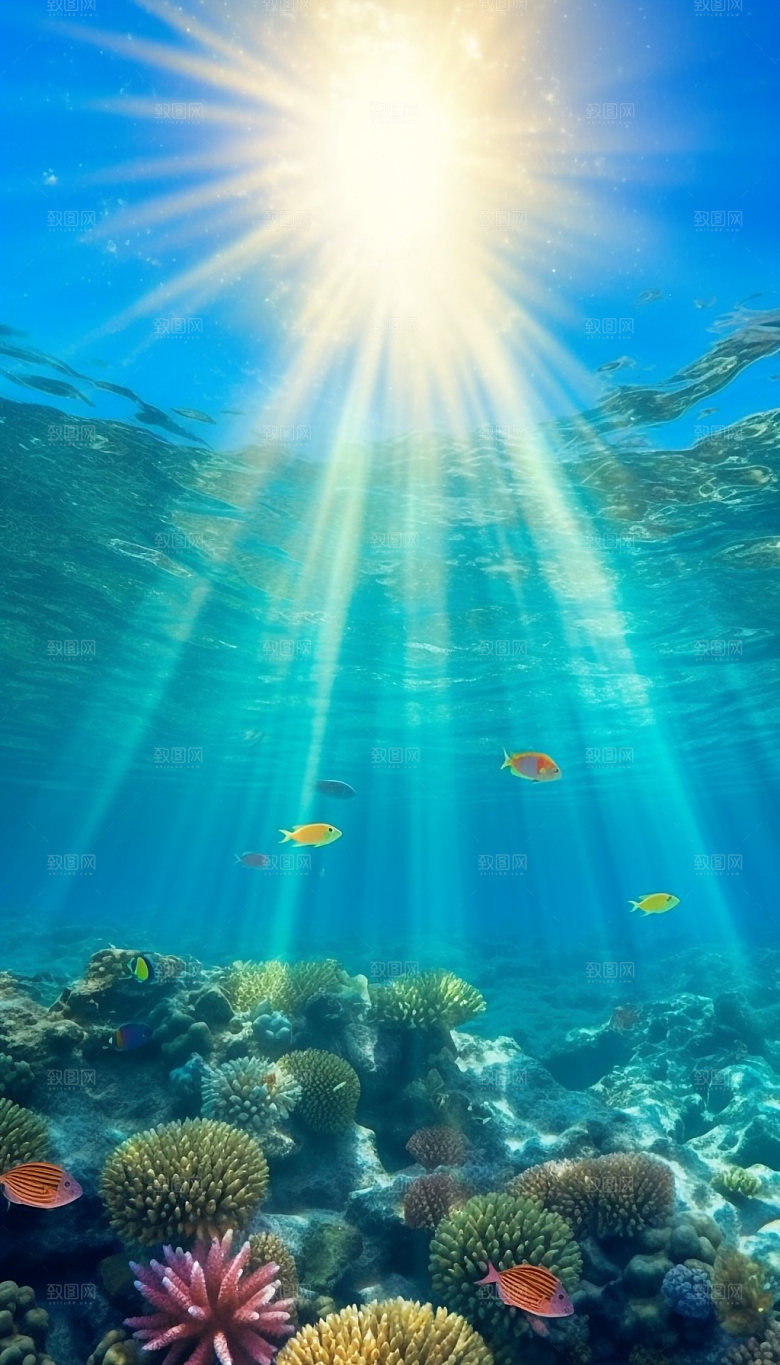 海底世界珊瑚海洋生物自然风光背景图
