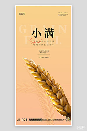 中国传统节气小满麦穗手机海报
