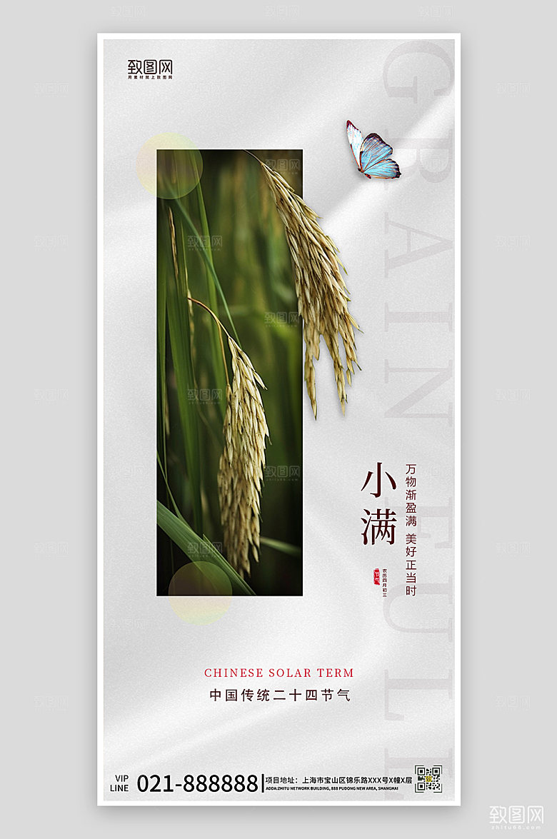 传统节气小满创意简约海报