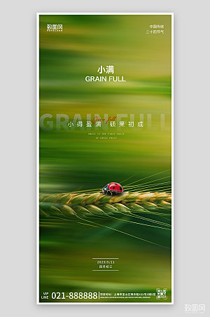 中国传统节气小满简约创意手机海报