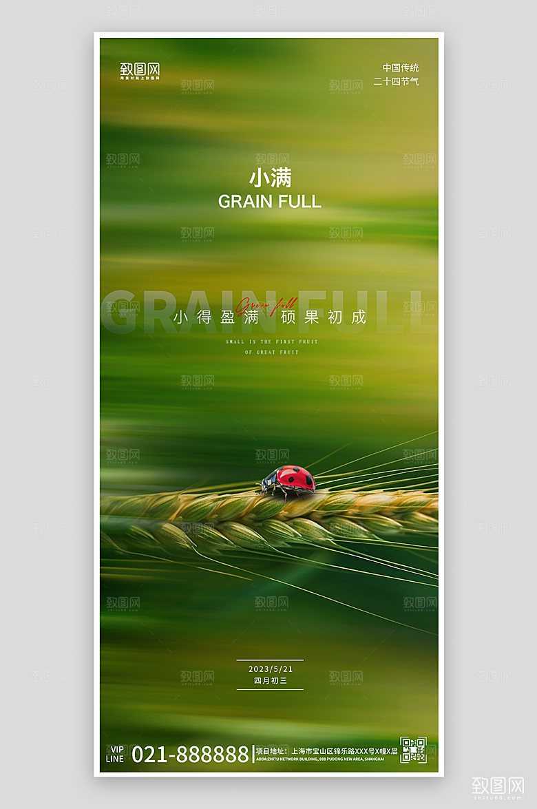 中国传统节气小满简约创意手机海报