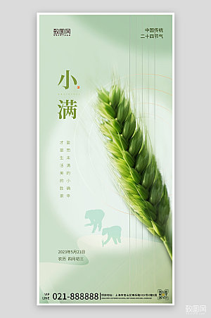 传统节气小满稻谷小麦手机海报