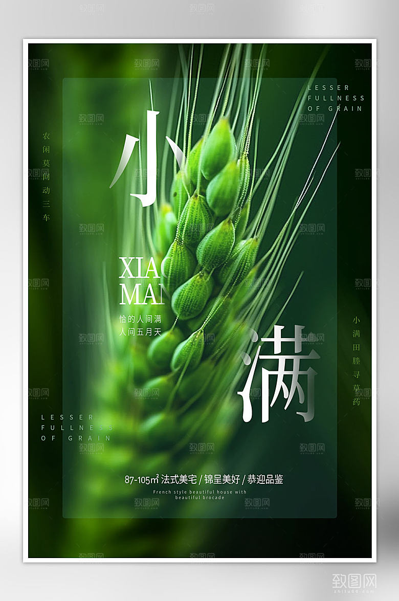 小满节气摄影海报