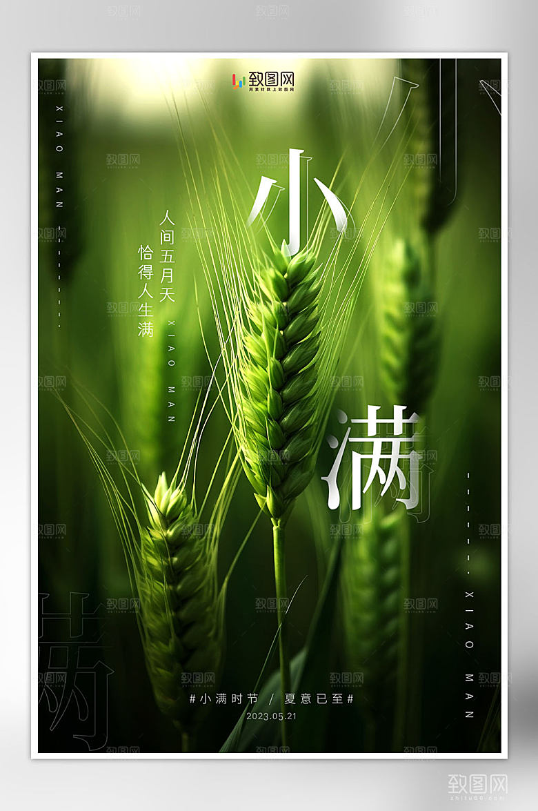 摄影风小满节气海报