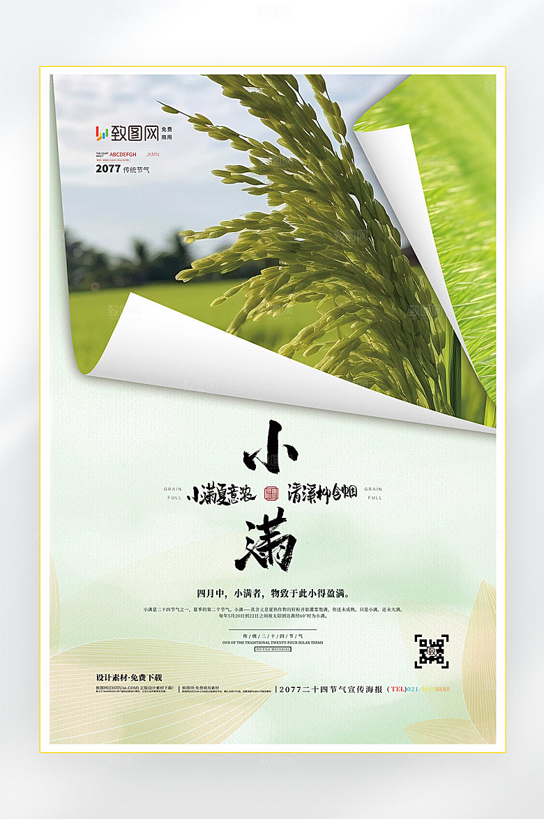 二十四节气小满节气海报