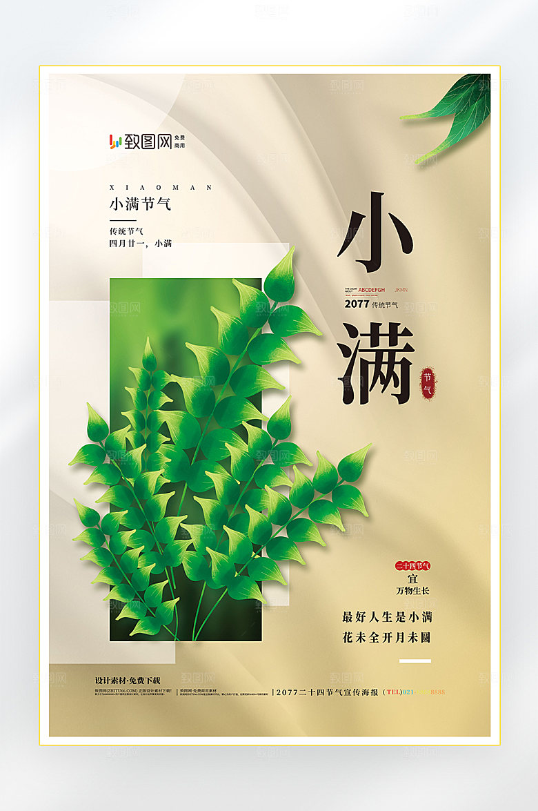 二十四节气小满节气海报
