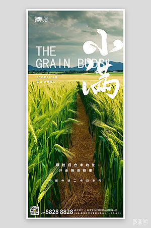 中国传统节气小麦麦田手机海报