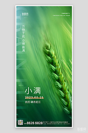 中国传统节气小满绿色简约手机海报