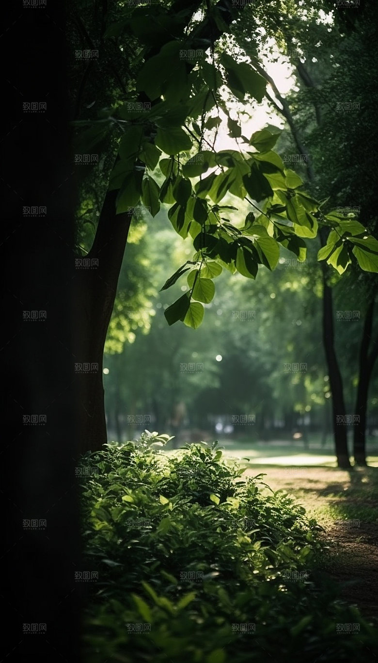 夏日绿荫逆光森林摄影图