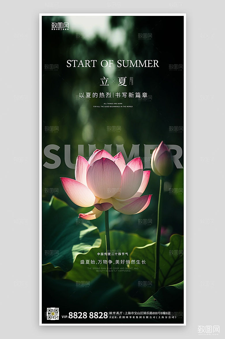 中国传统节气立夏荷花简约手机海报