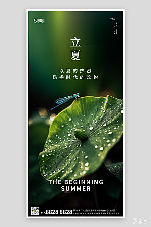 中国传统节气立夏荷叶蜻蜓手机海报