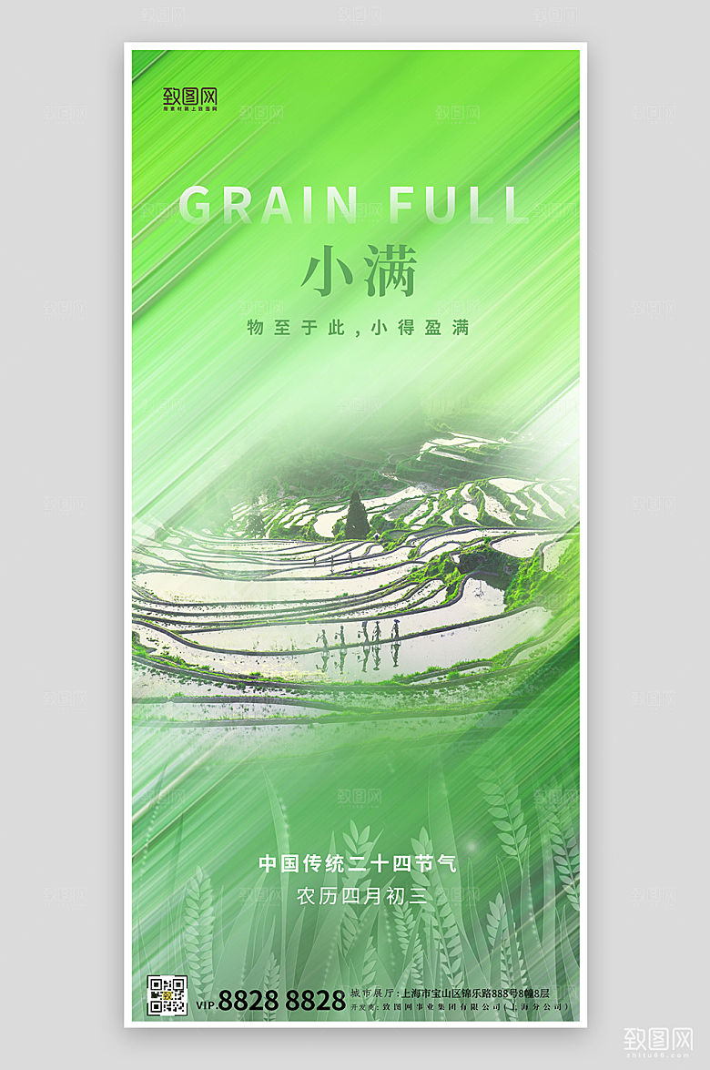 传统节气小满绿色水田手机海报