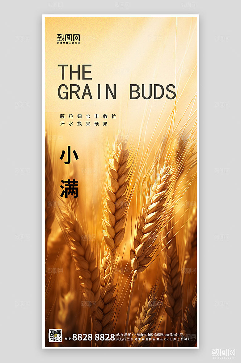 传统节气小满小麦手机海报