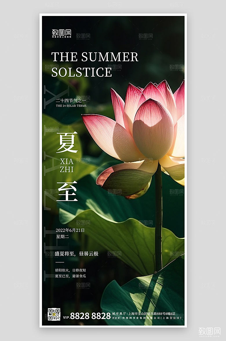 夏至节气荷花摄影图手机海报