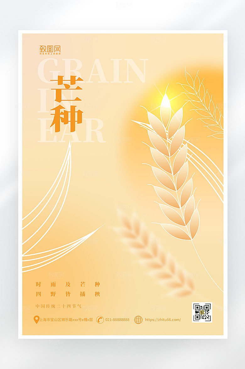 简约大气芒种节气海报