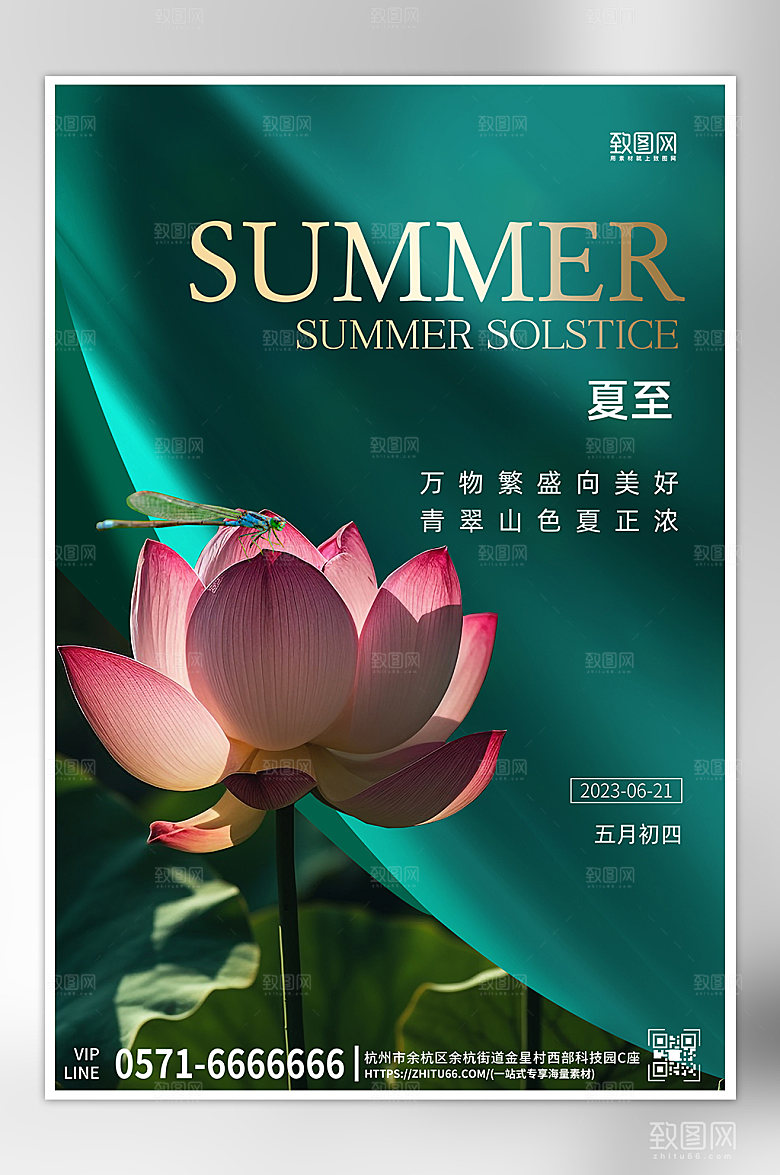 传统节气夏至荷花简约海报