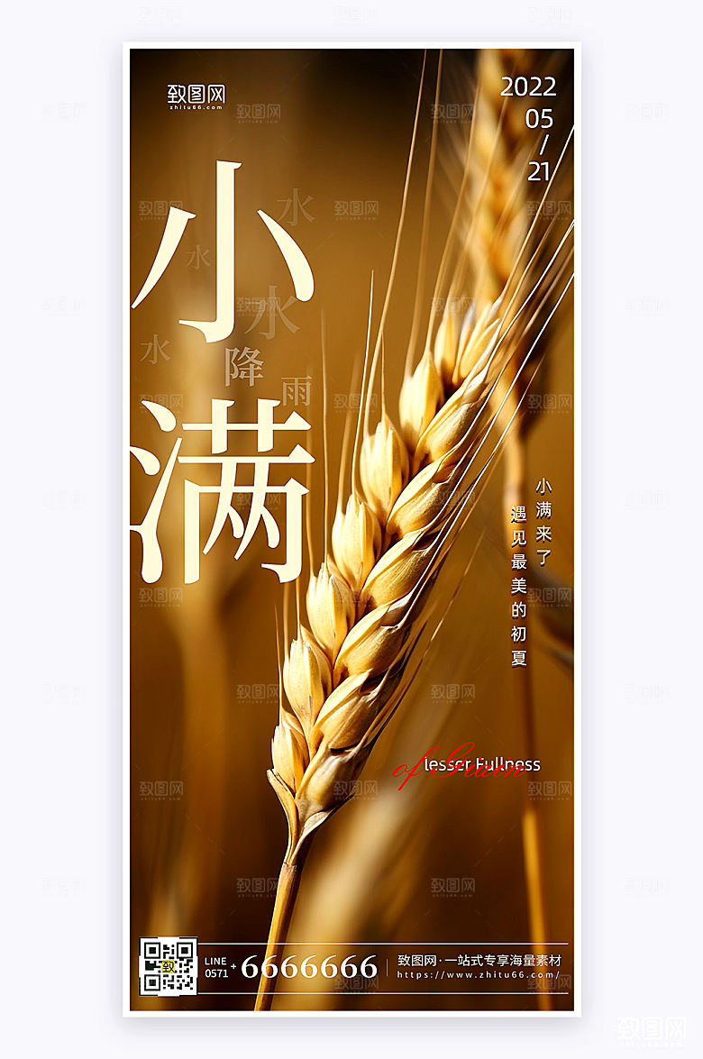 摄影风简约大气小满节气祝福手机海报