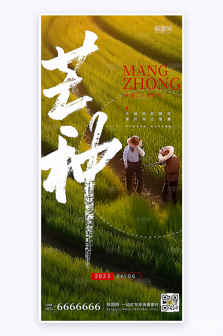 摄影风芒种节气宣传简约大气手机海报