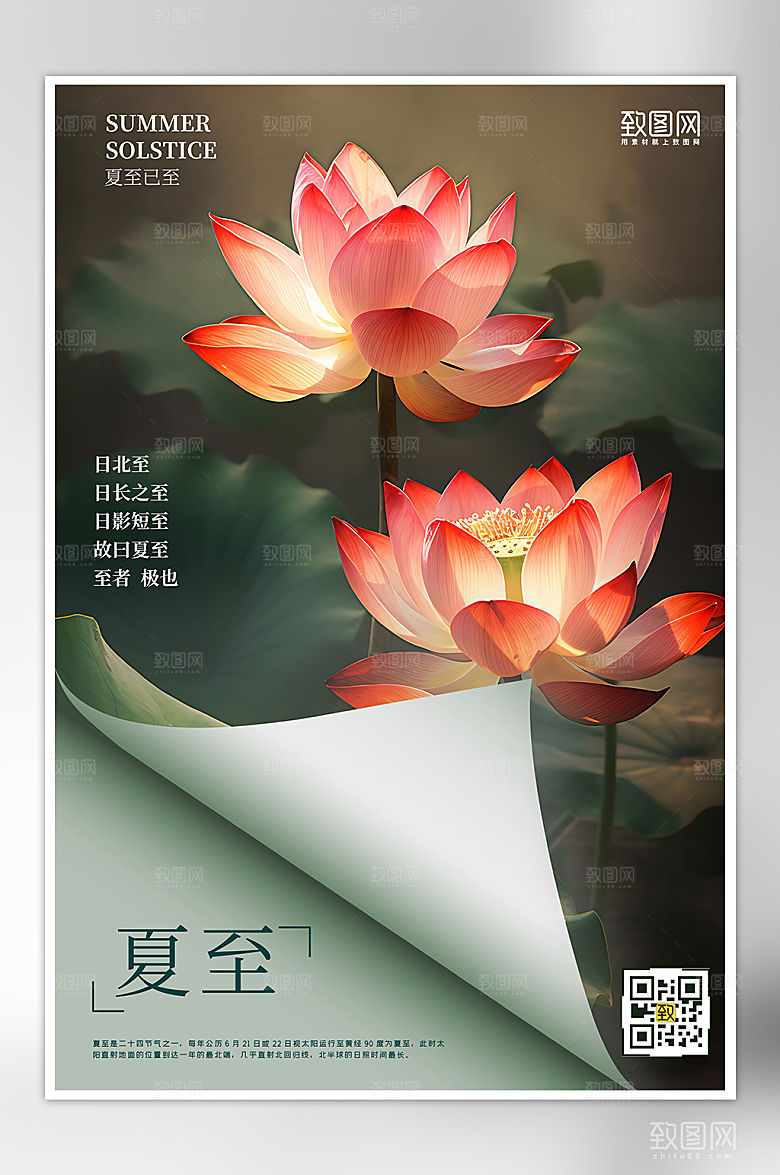 传统节气夏至手绘荷花简约海报