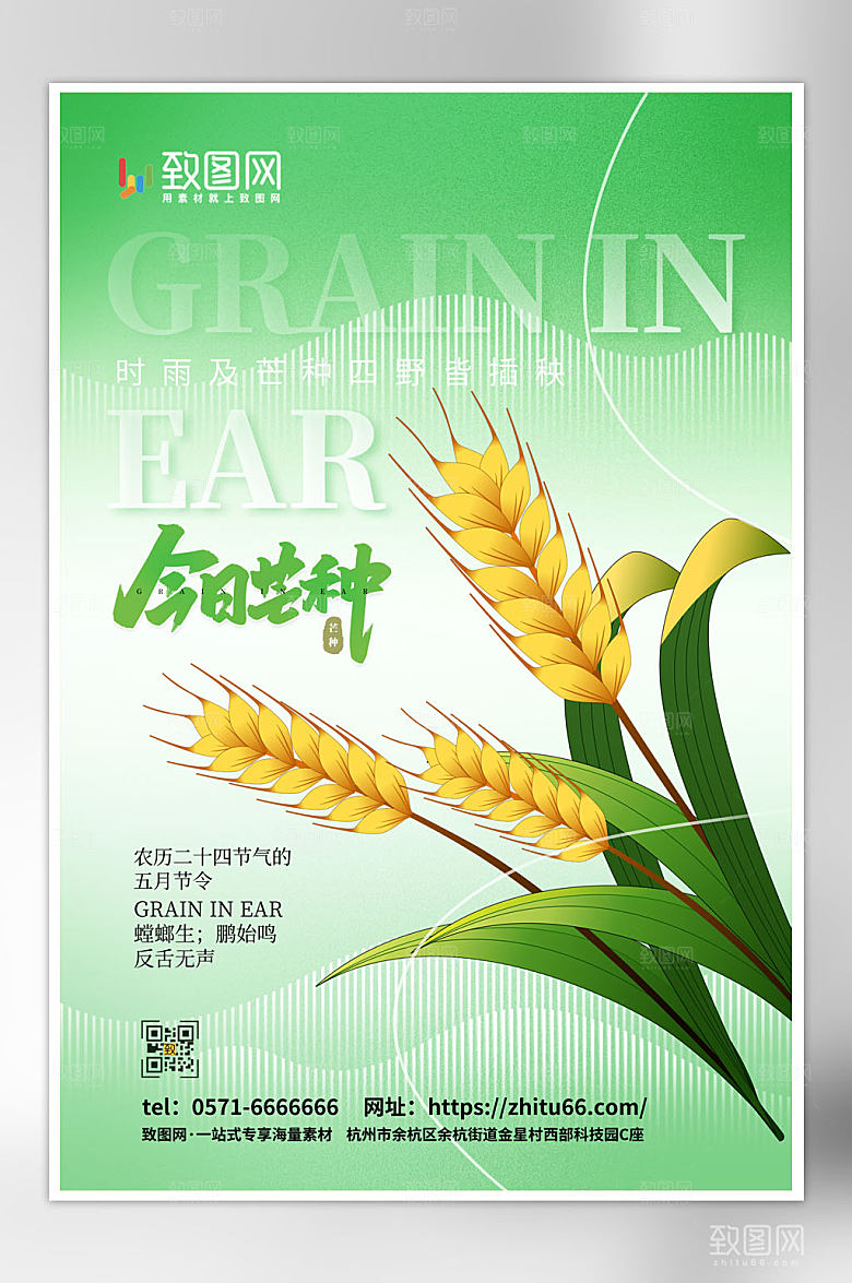 弥散风二十四节气之芒种海报