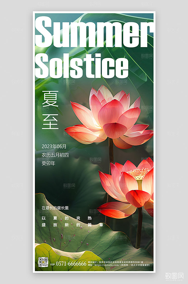 传统节气夏至节气荷花手机海报