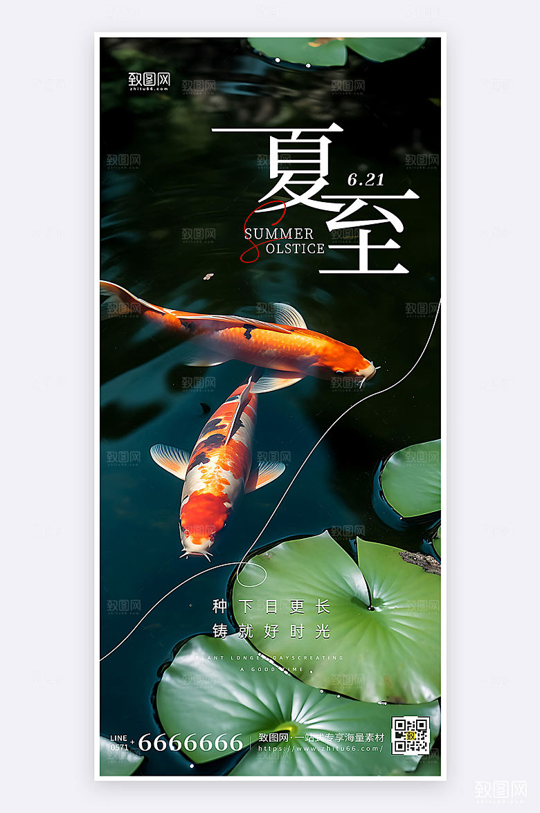 摄影风夏至节气祝福宣传手机海报