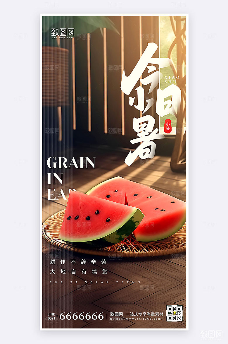 摄影风简约大气小暑节气宣传手机海报