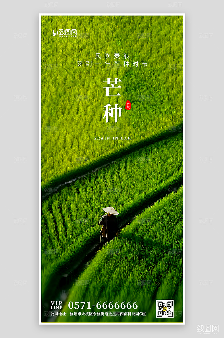 二十四节气芒种海报