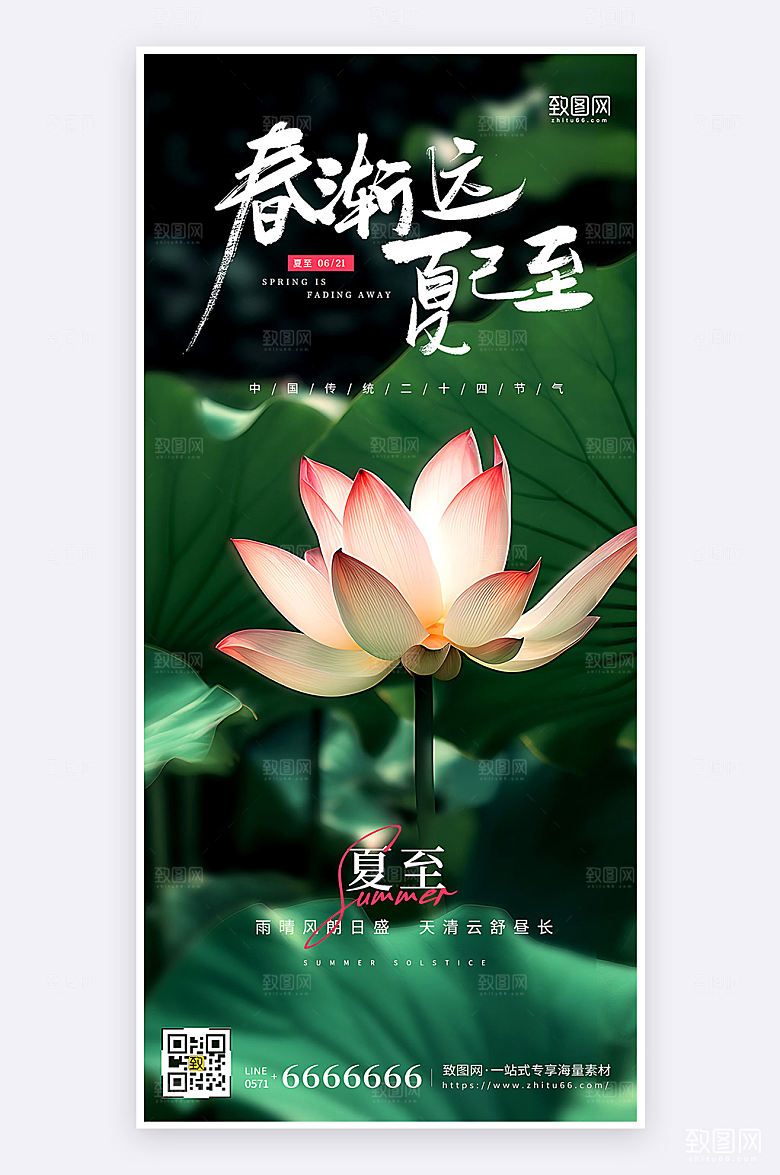 摄影风简约大气夏至节气祝福手机海报
